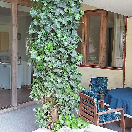 Apartment Sonnenhaus *
